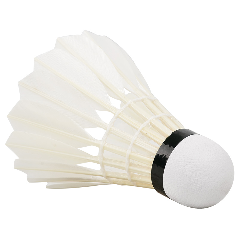 Yeni 12 adet profesyonel Badmi - Badminton Youtube incelemesi ve fiyatı